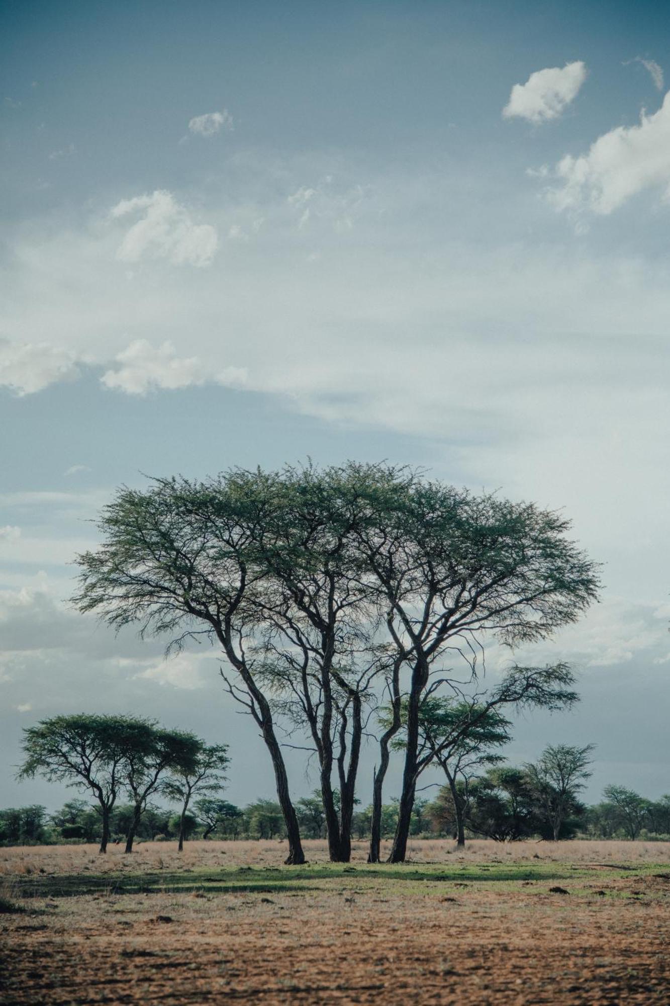 Africa Awaits Lodge & Safaris Gobabis Buitenkant foto